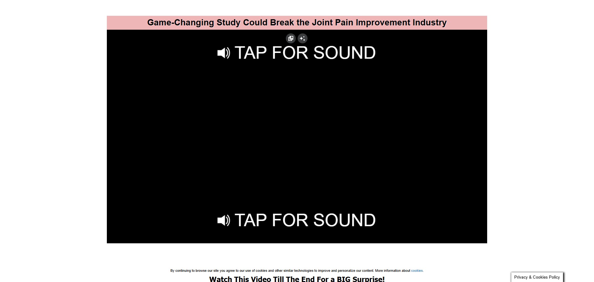 Joint Pain Killer VSL